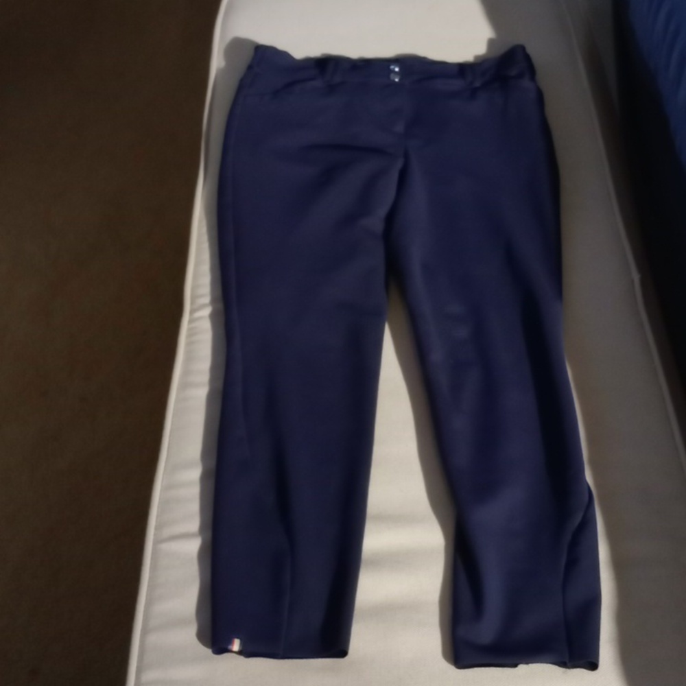 The Tackhack navy blue riding pants/britches size 32 fits small